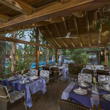 Royal Dragon 5* Side