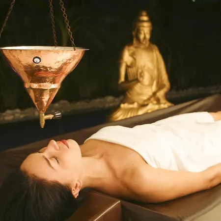 度假村 御龙大酒店 5*