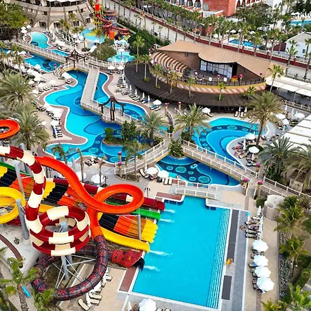 Royal Dragon Feriested Side